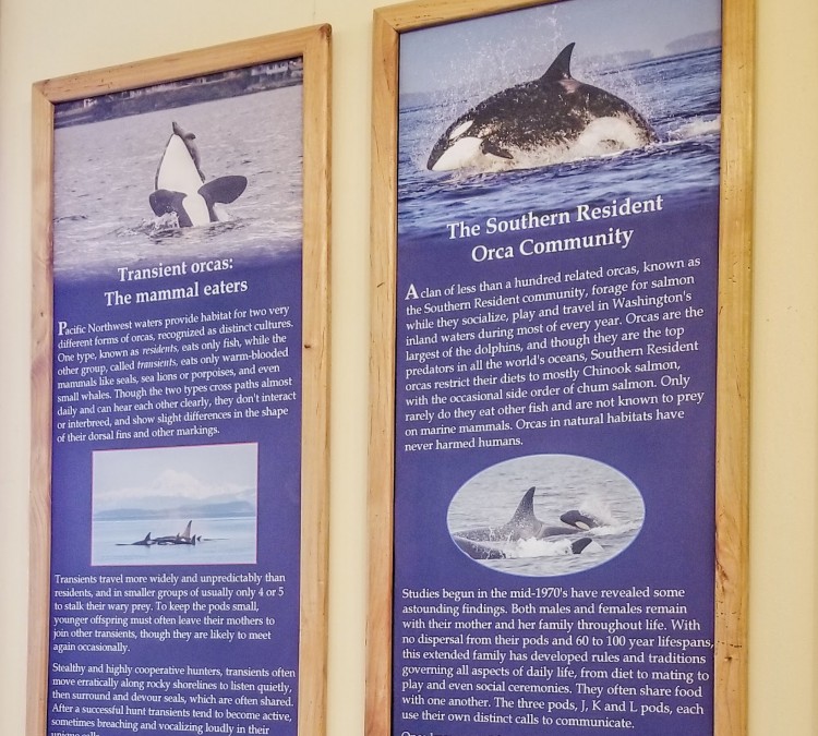 Langley Whale Center (Langley,&nbspWA)